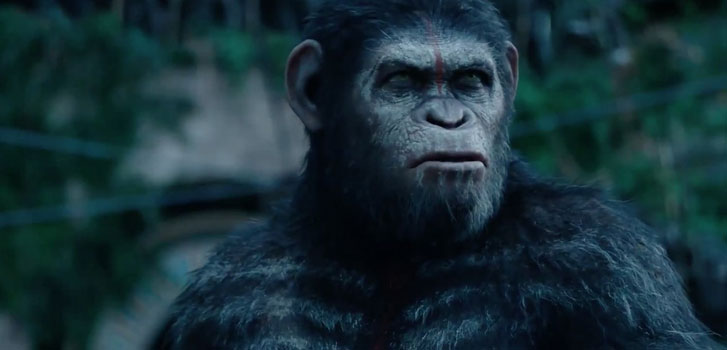 QUIZ: Apes-a-Poppin'